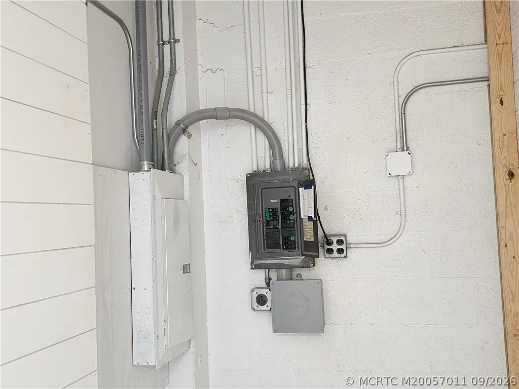 Picture 5