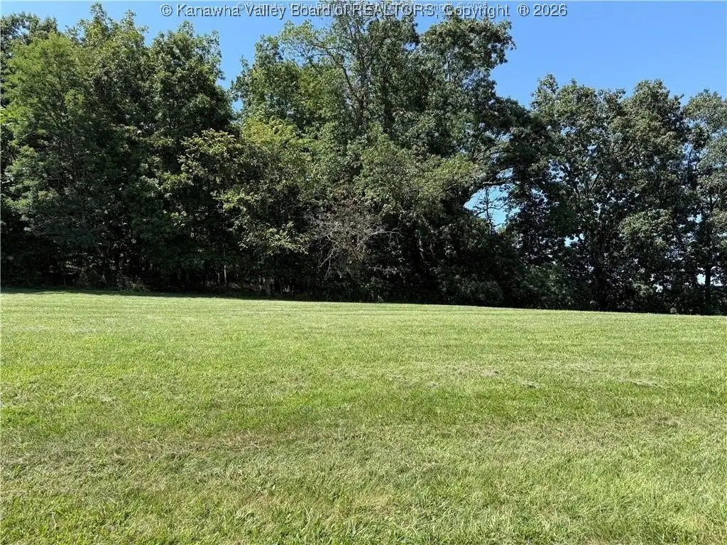 Picture 2
