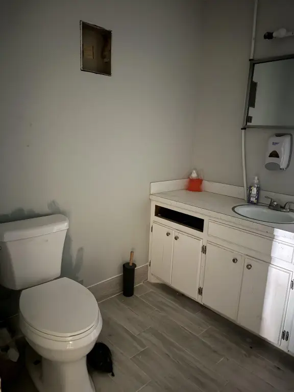 Picture 8
