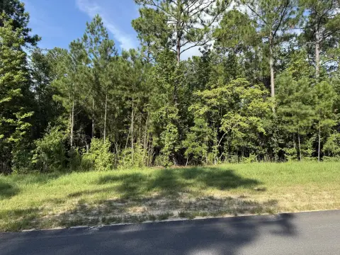 Wooded Lot in Anderson Farms