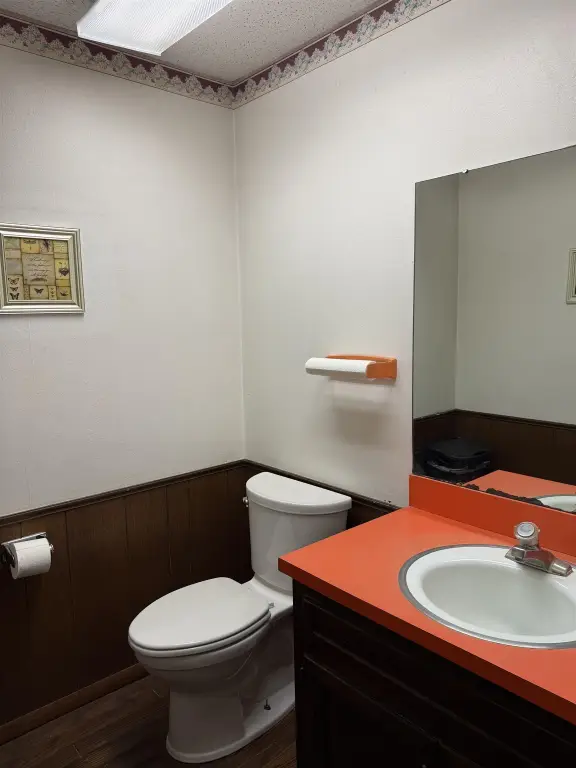Picture 19