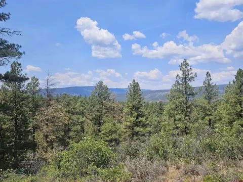 Pagosa Springs Wooded Acre Lot