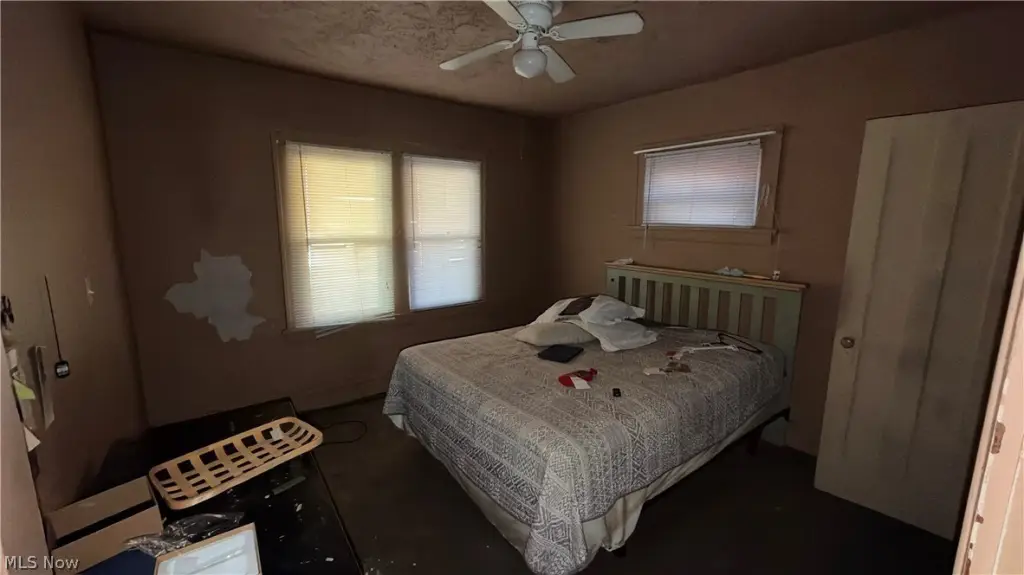 Picture 11