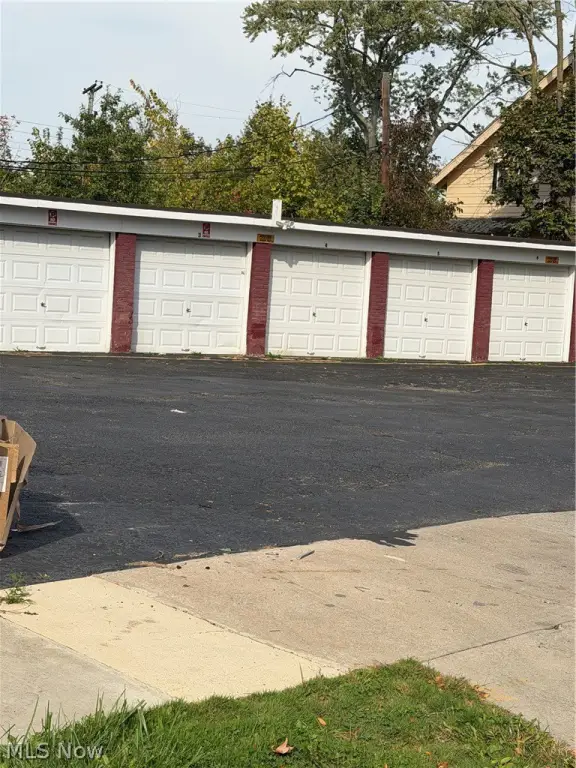 Picture 5