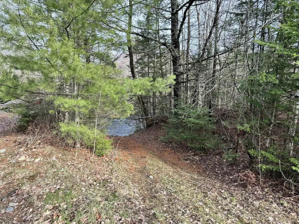 Picture 2