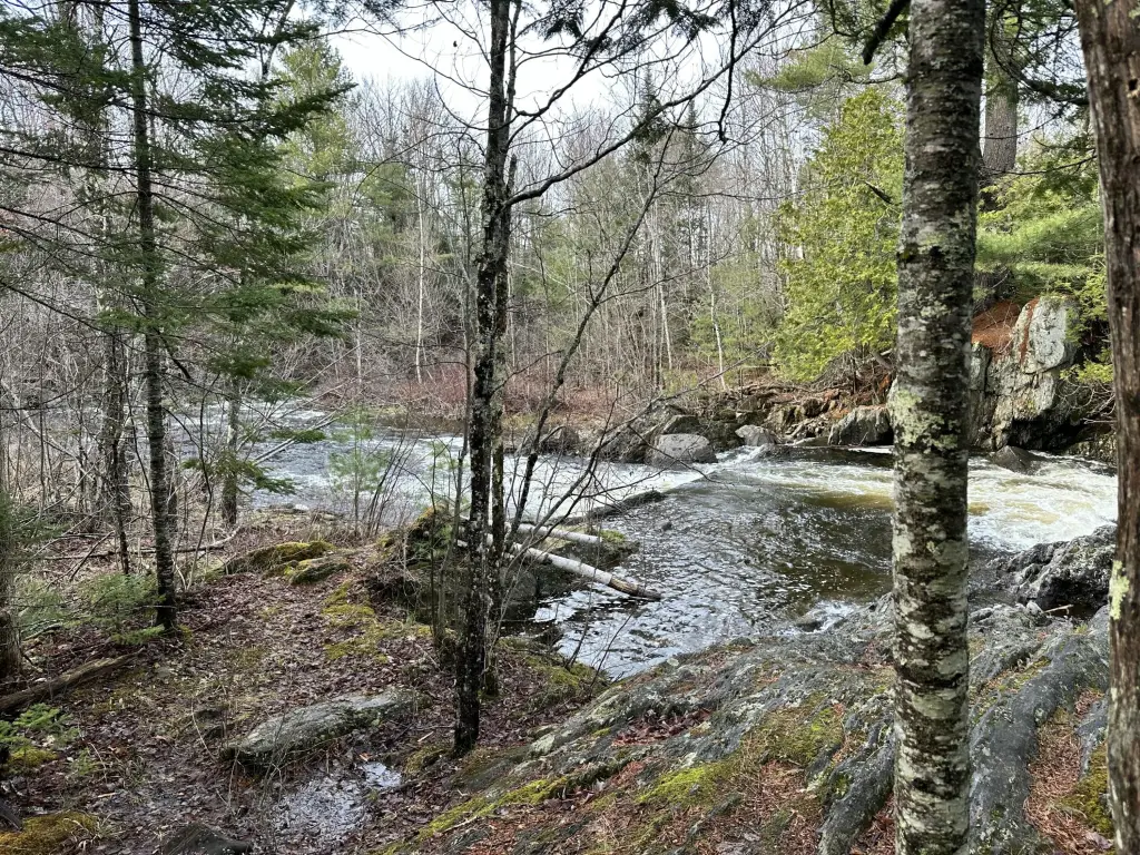 Picture 4