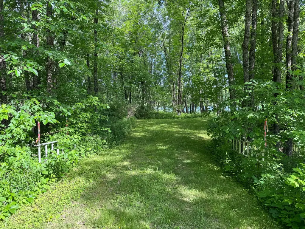 Picture 27