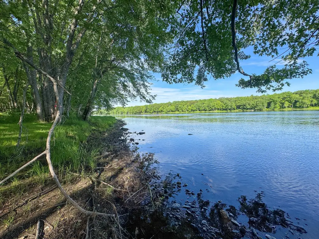 Picture 15