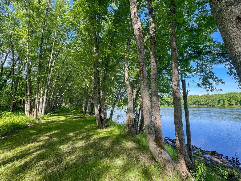 Picture 19