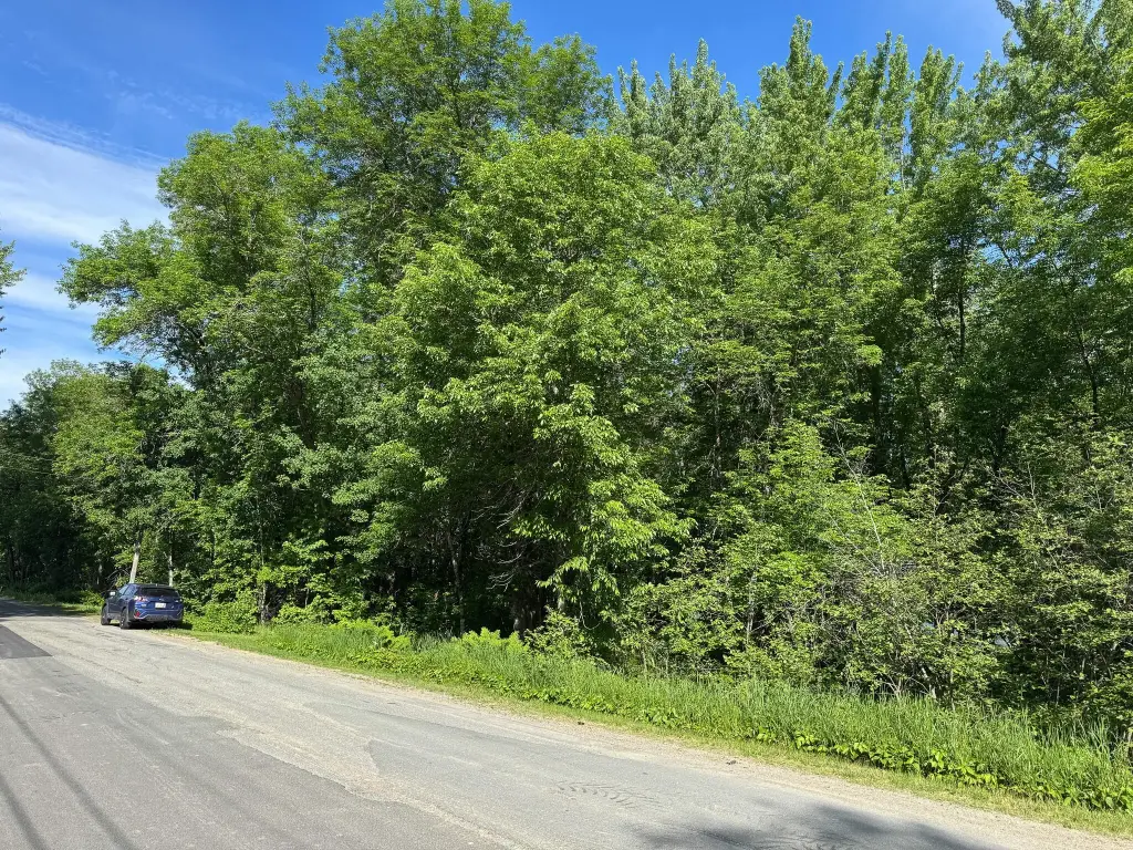 Picture 23