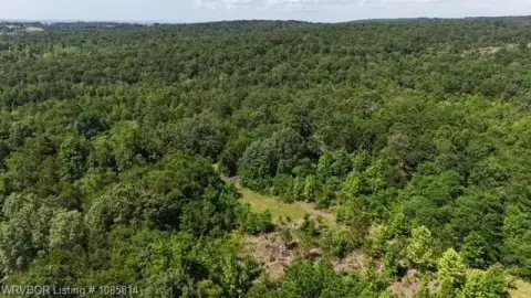 Expansive Acreage in Cecil, Arkansas