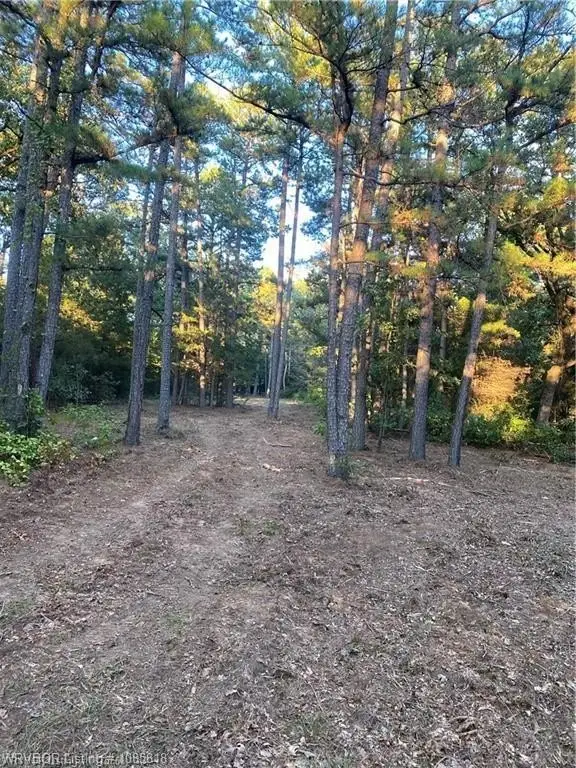 Picture 18