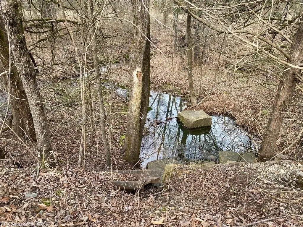 Picture 14