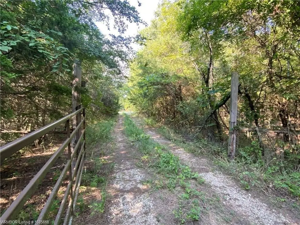 Picture 16