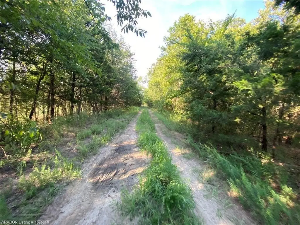 Picture 15