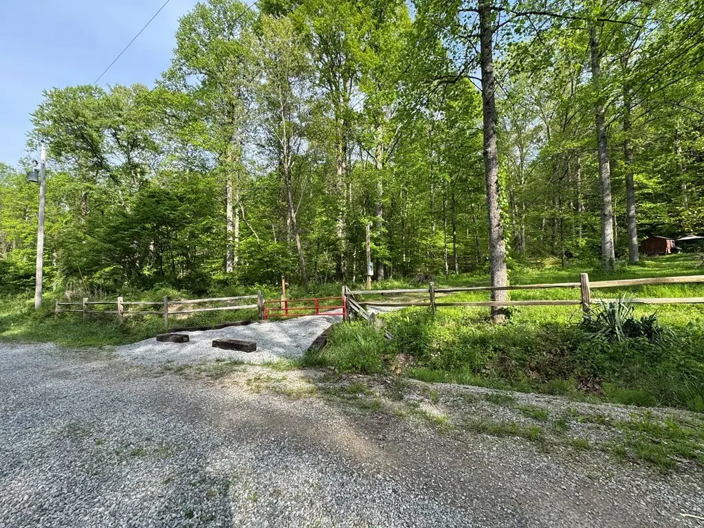 Picture 2