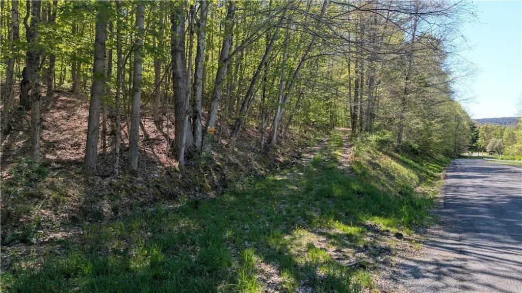 Picture 15