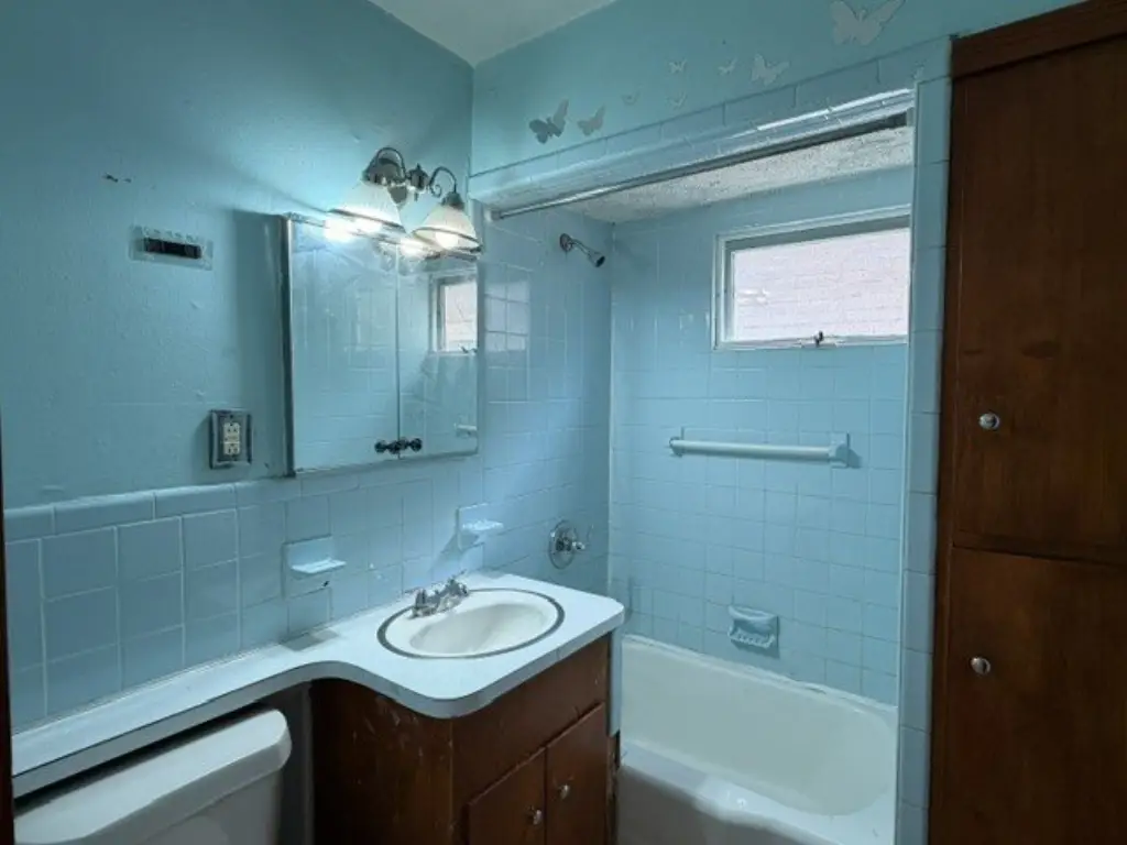 Picture 15