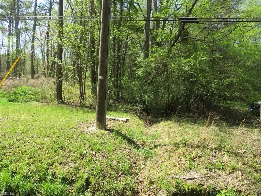 Picture 6