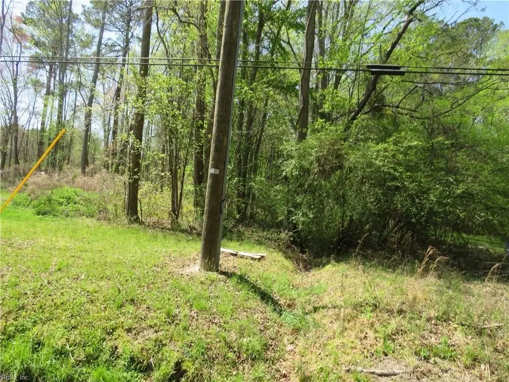 Picture 5