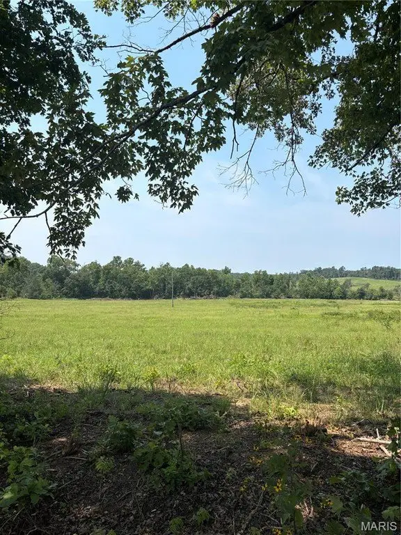 Picture 43