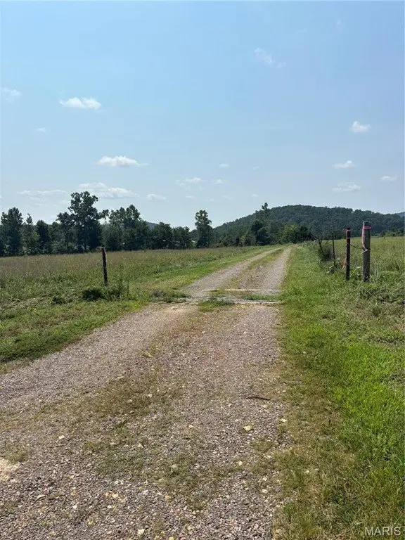 Picture 17