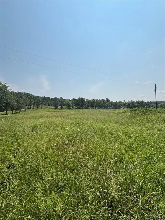 Picture 30