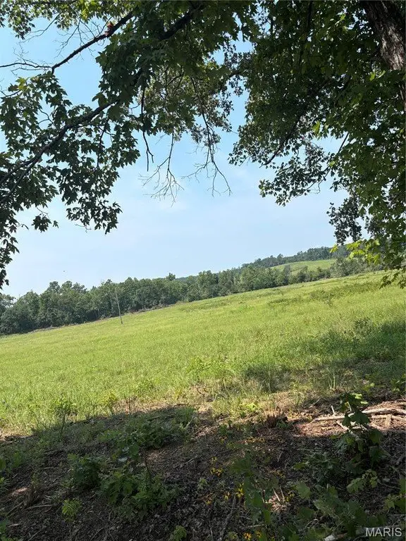 Picture 42