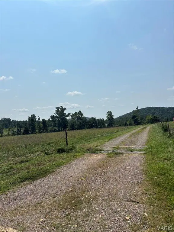 Picture 19