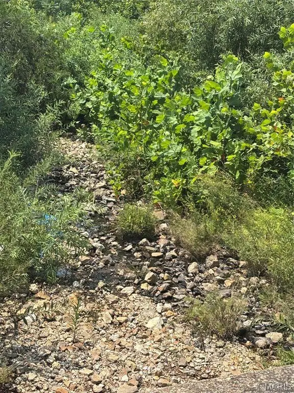Picture 25