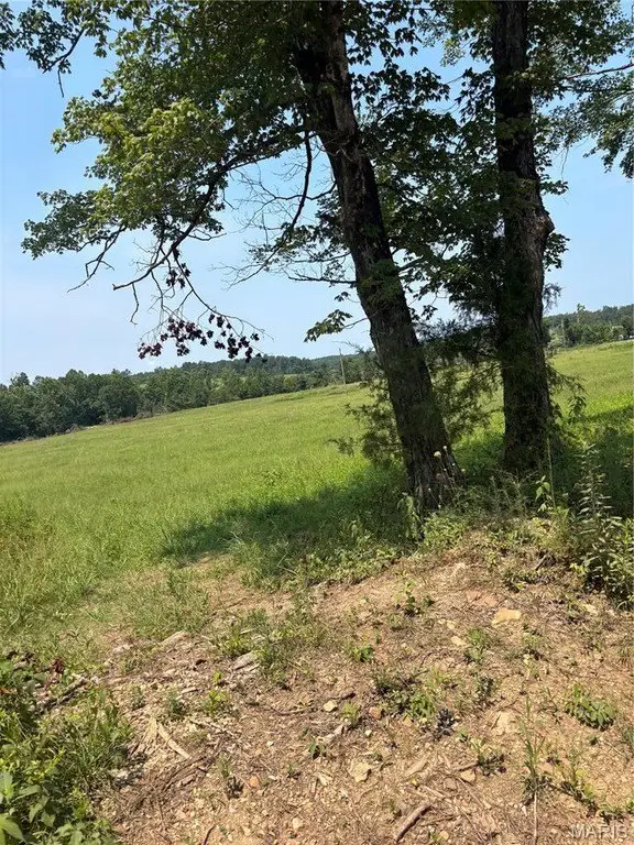 Picture 47