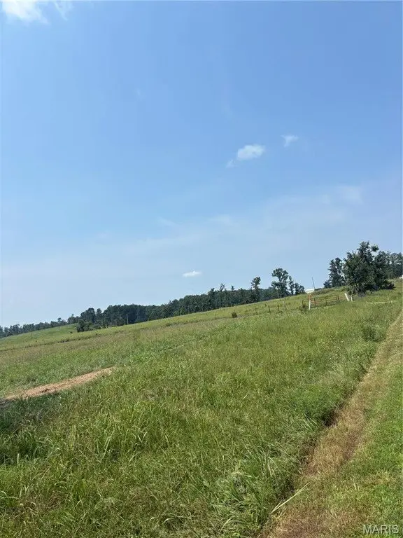 Picture 21