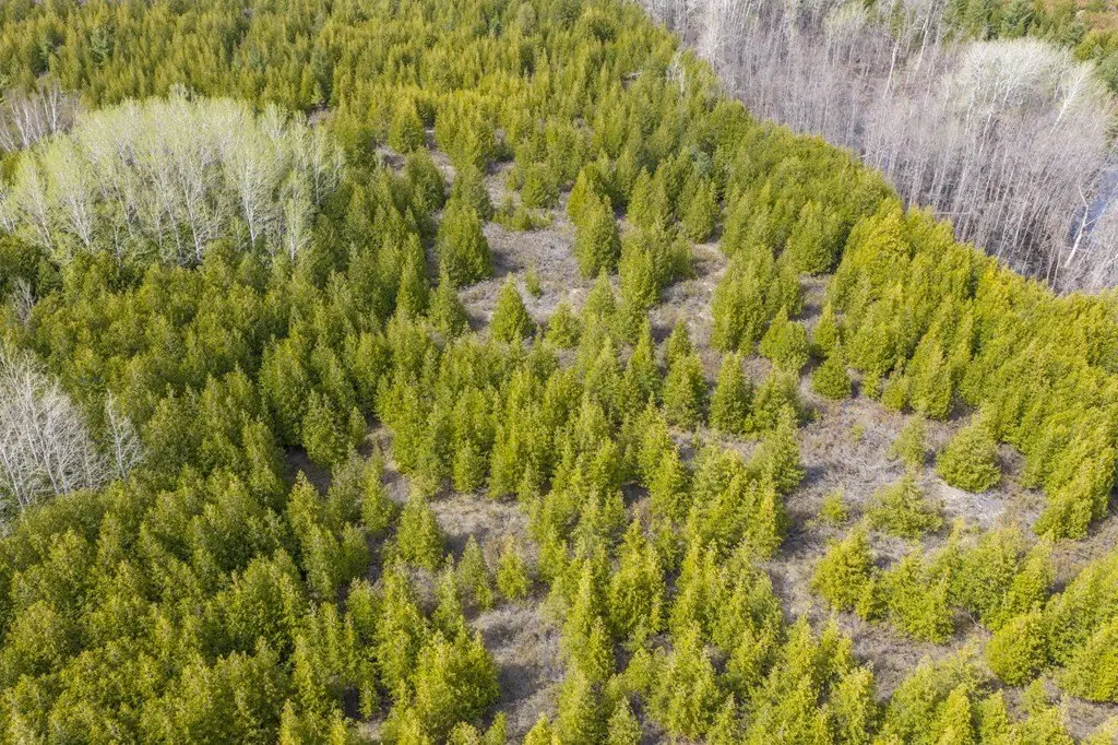 Picture 25