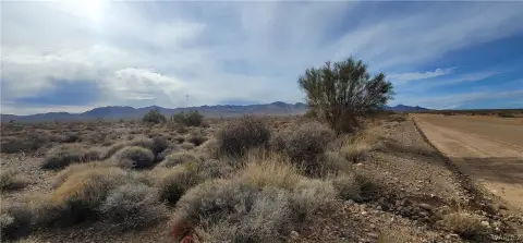 Expansive Yucca Land Parcel