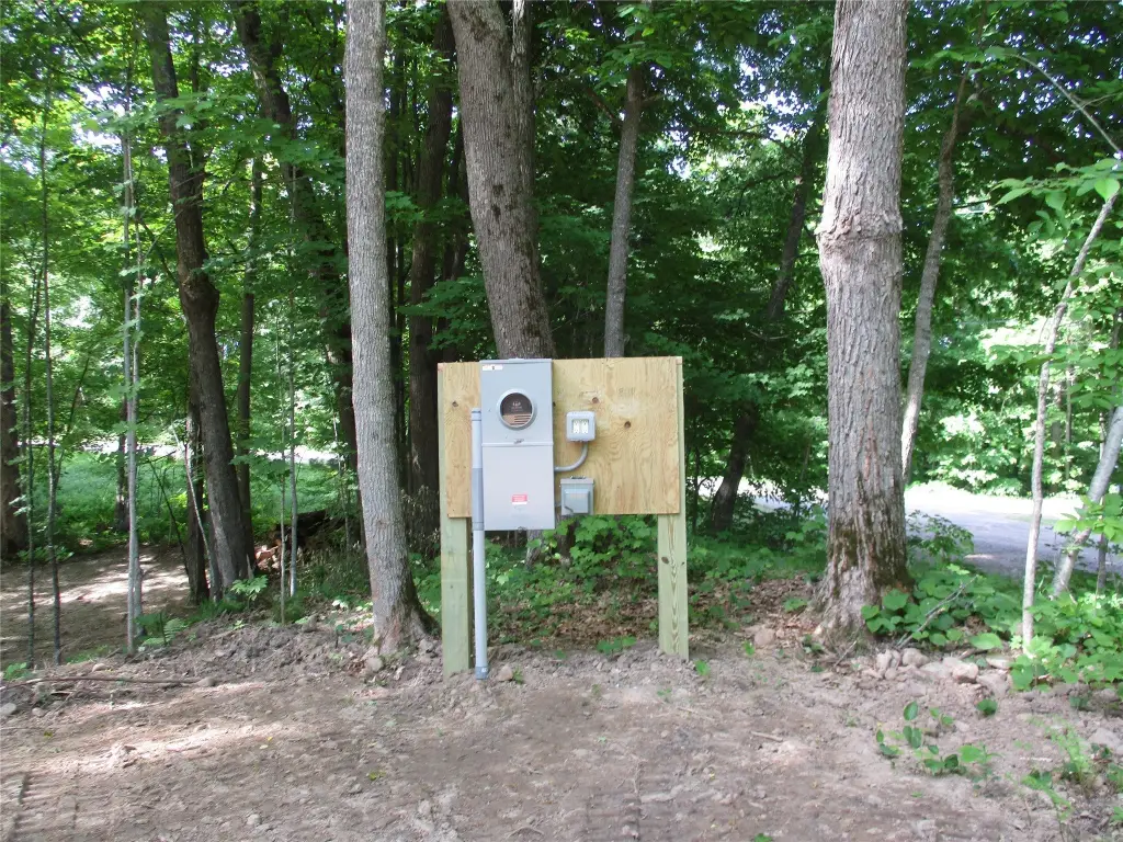 Picture 2