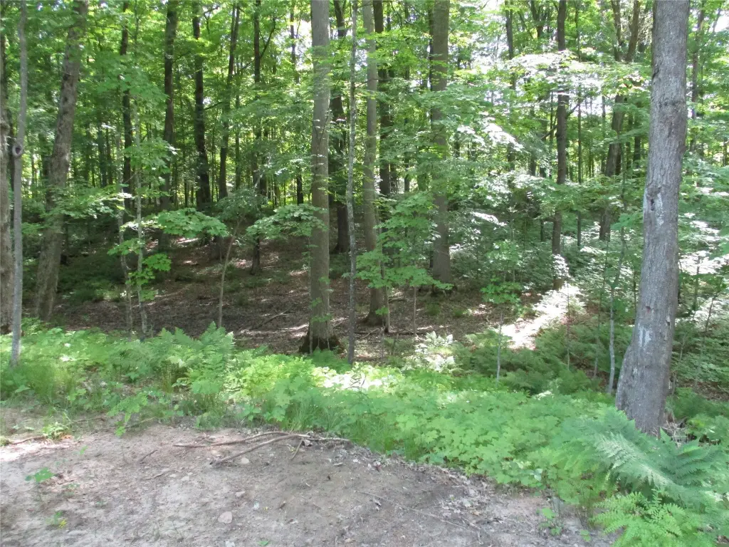 Picture 6