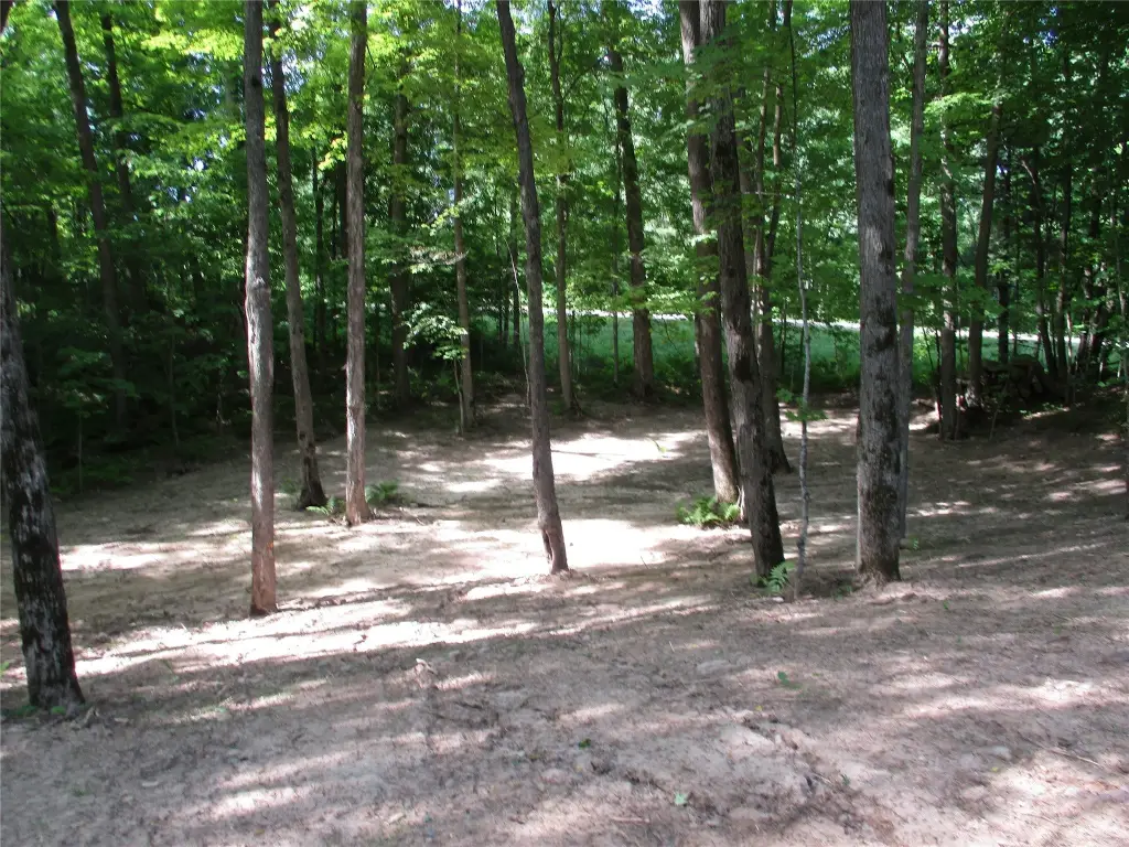Picture 4