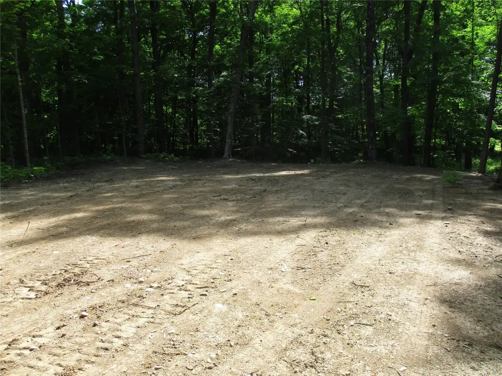 Picture 3