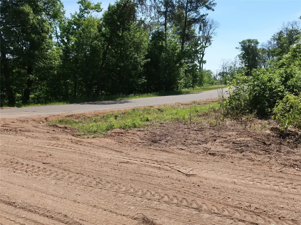 Picture 11
