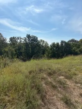 65 Acres in Glencoe, Kentucky