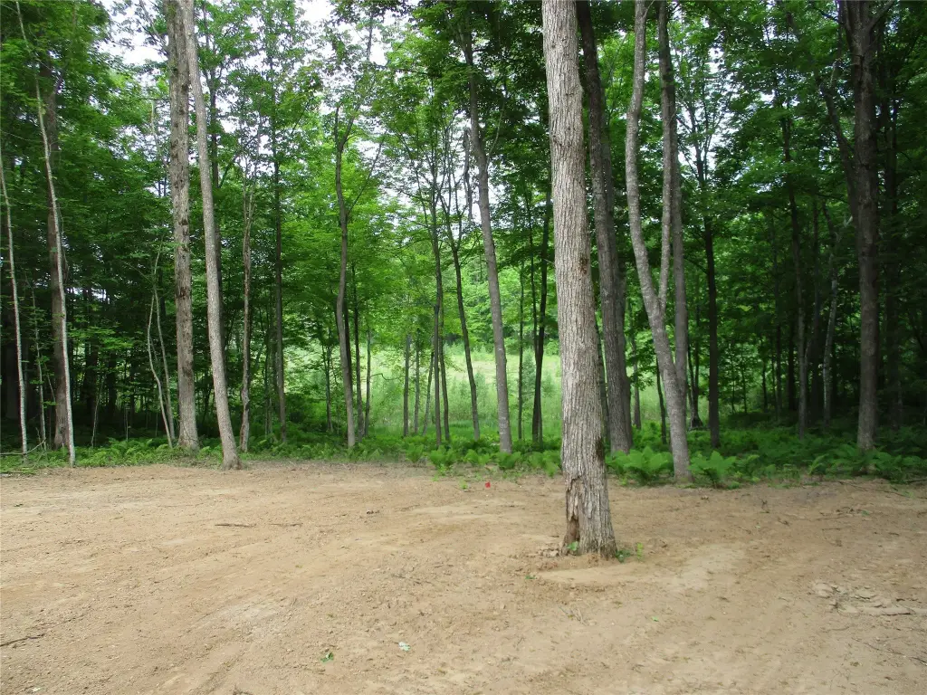 Picture 12