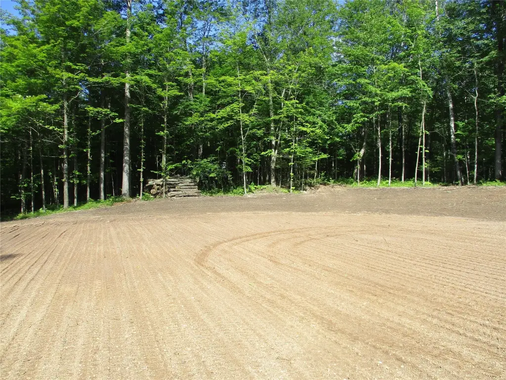 Picture 8