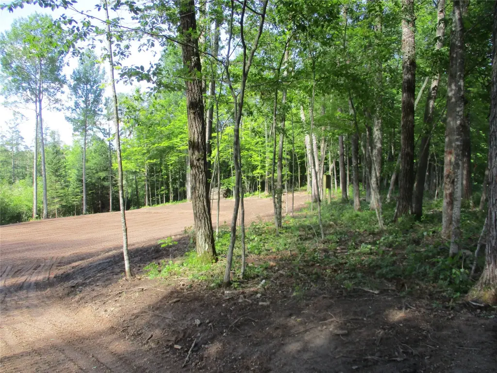 Picture 3