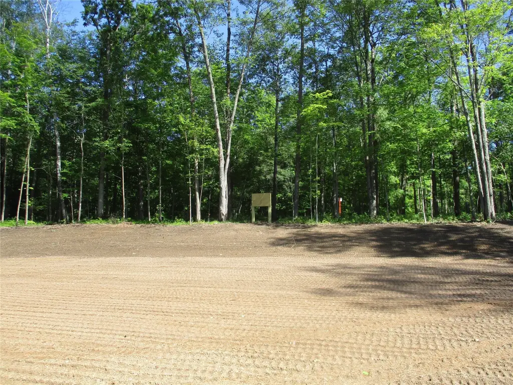 Picture 7