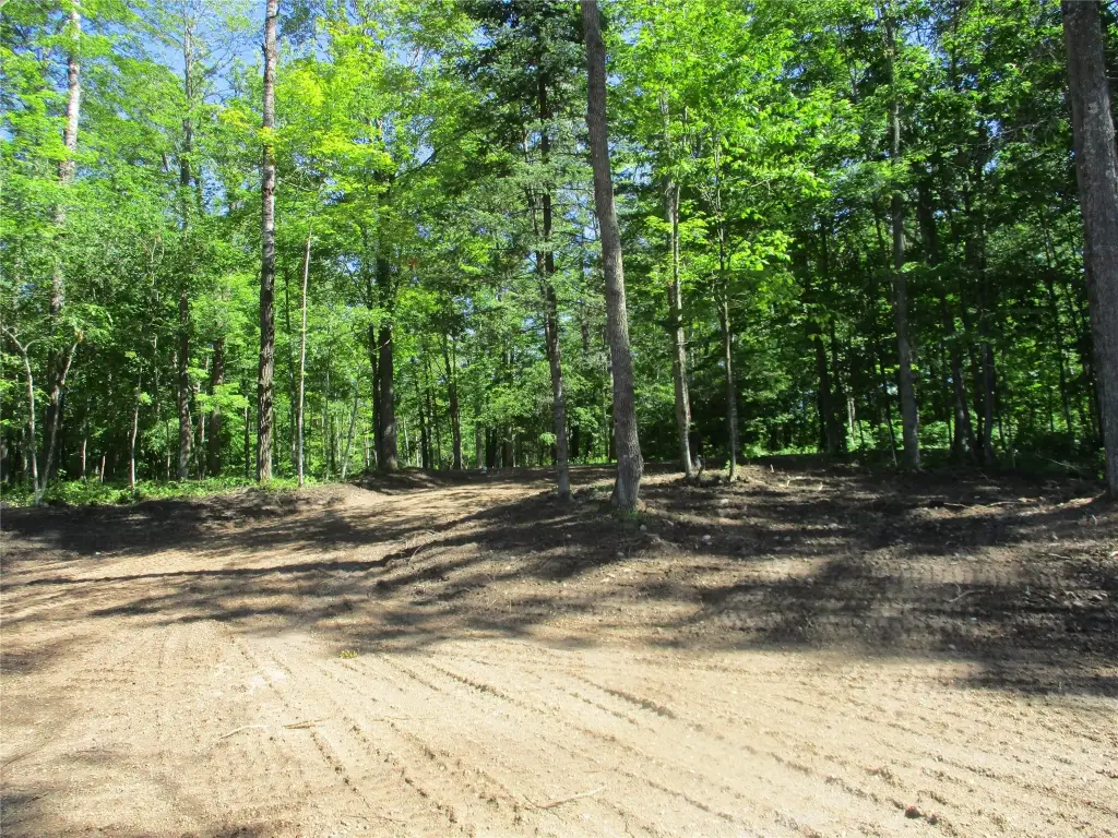 Picture 12