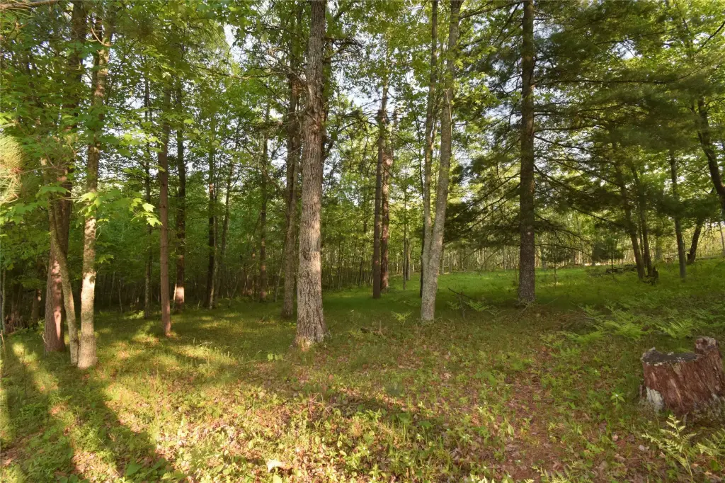 Picture 13