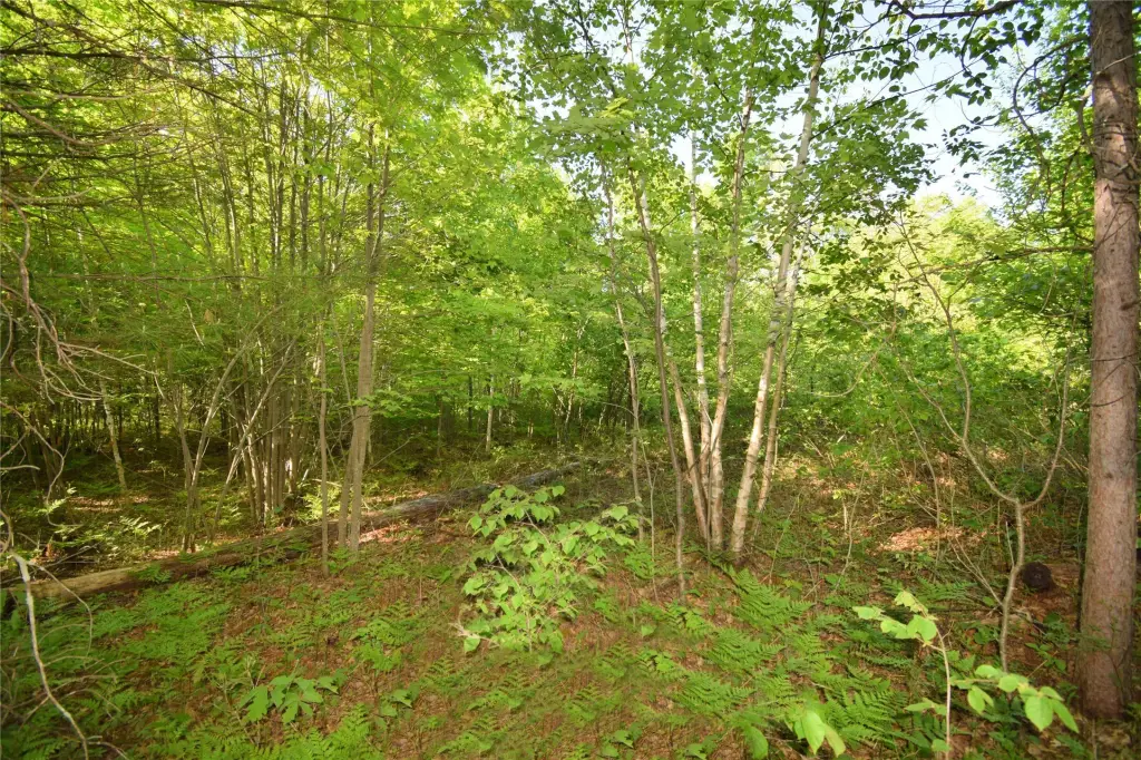 Picture 17