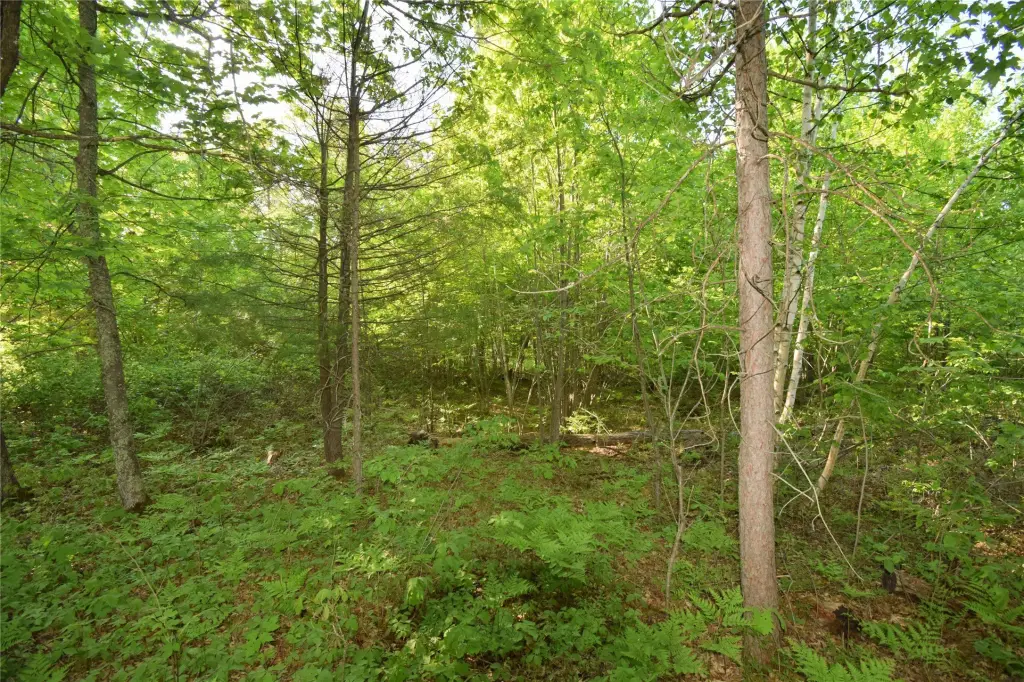 Picture 19