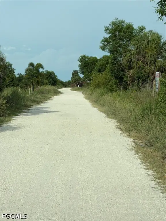 Picture 7