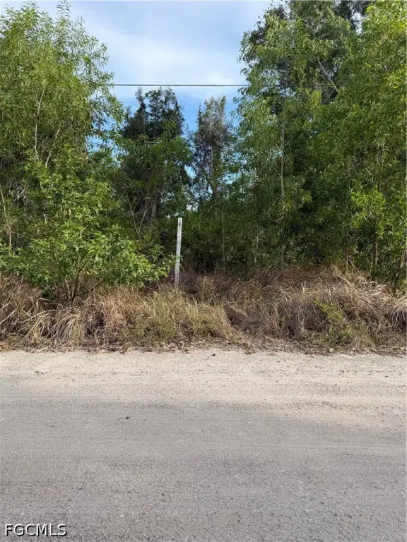 Picture 5